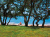 Vestar Camping 